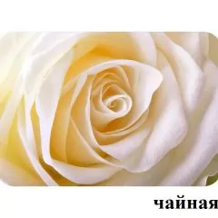 БОСТОН - 2 опоры Брифинг | фото 28